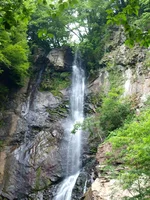  12-18 июля 2013 645.webp