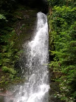  12-18 июля 2013 682.webp
