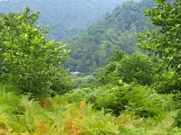  12-18 июля 2013 701.webp