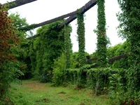  12-18 июля 2013 809.webp