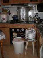  после варки.webp