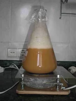  на магнитной мешалке..webp