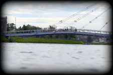 DSC_3368.JPG