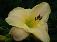 DSC07991.webp