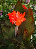 DSC07977.webp