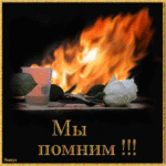 897685601.gif