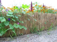 IMG_3992.webp