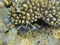 IMG_1065.jpg