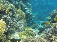 IMG_1383.jpg