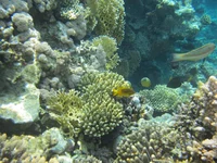 IMG_1331.jpg