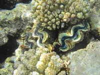 IMG_1360.jpg