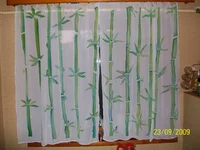 100_4036.webp