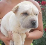 DSCN9787.webp