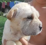 DSCN9788.webp