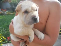 DSCN9797.webp