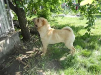 getImage (1).webp
