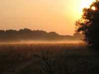  076.webp