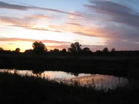  150.webp