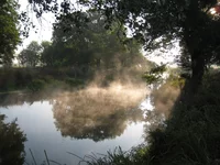  172.webp