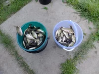 DSCF8513.jpg