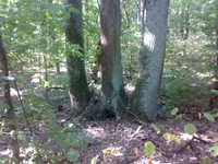 26082013587.webp