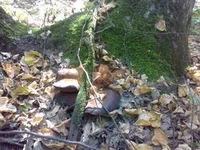 26082013589.jpg