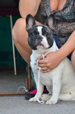 DSC_2443.jpg