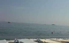 IMG_20130828_143759.webp