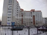AkadPavl.jpg