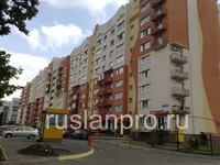 druz-narod238а.webp