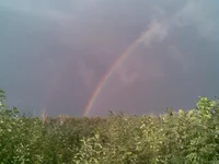 015.webp
