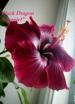 W30y3zcl86Q.webp