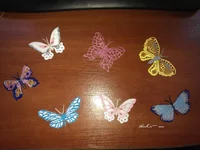IMAG1507.webp