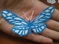IMAG1521.webp