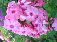 DSC07136.webp