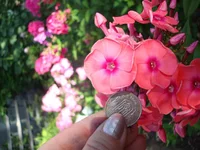 DSC07151.webp