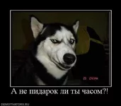 a-ne-pidarok.webp