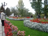 DSC02043_resize.webp