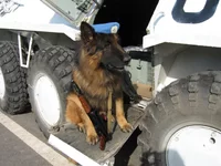 Copy of IMG_0042.webp