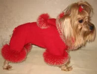 angora_krasn_4.webp