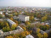 Копия P1010217.JPG