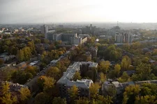 IMGP0280.webp