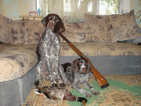 DSC03842_resize.gif