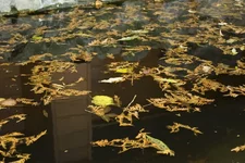 _IGP10951910 [1024x768].webp