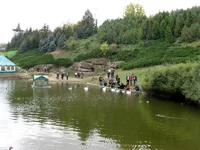 12.webp