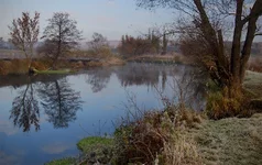 zam_ua.webp