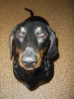 PIC_0004.webp