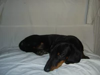 PIC_0044.webp