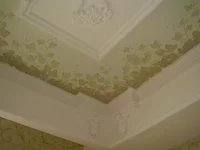 P7270074.webp