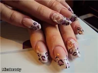 .webp